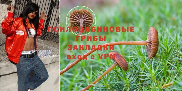 кокаин премиум Аркадак