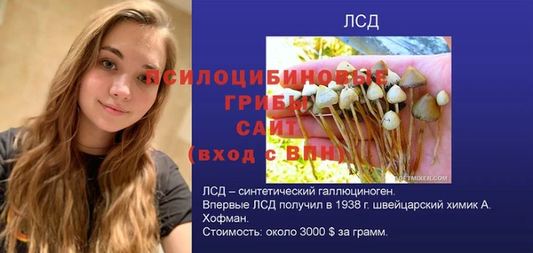 тгк Арсеньев