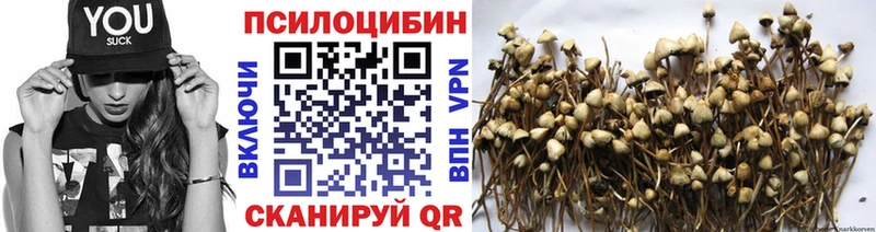 Галлюциногенные грибы ЛСД  это как зайти  Никольское 